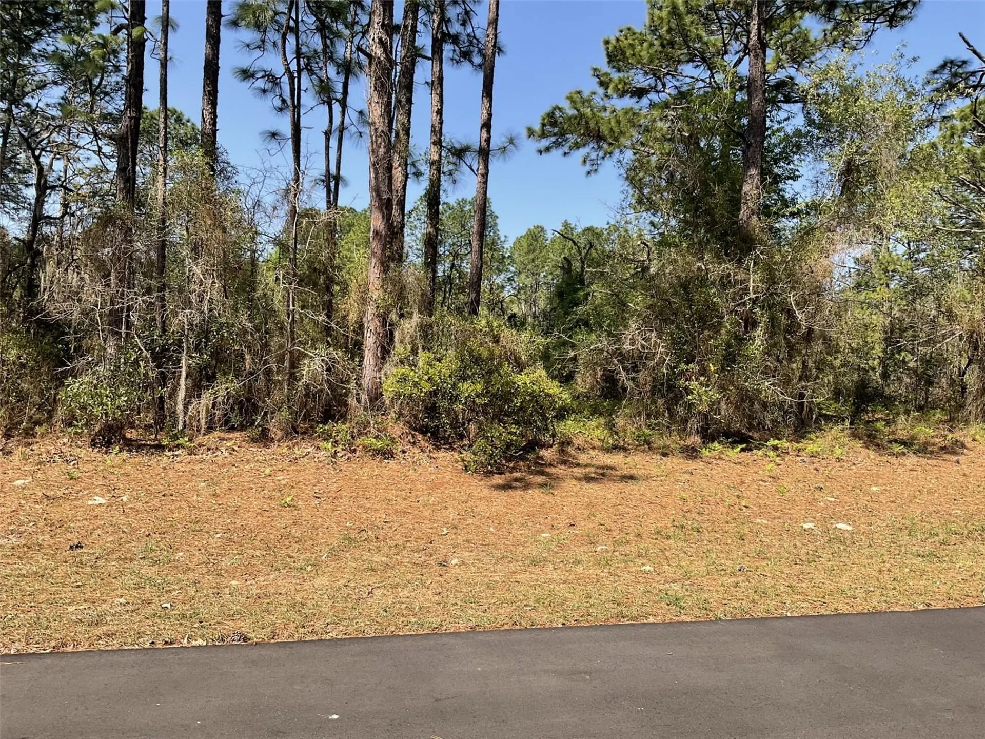 Undetermined Dunnellon FL 34432