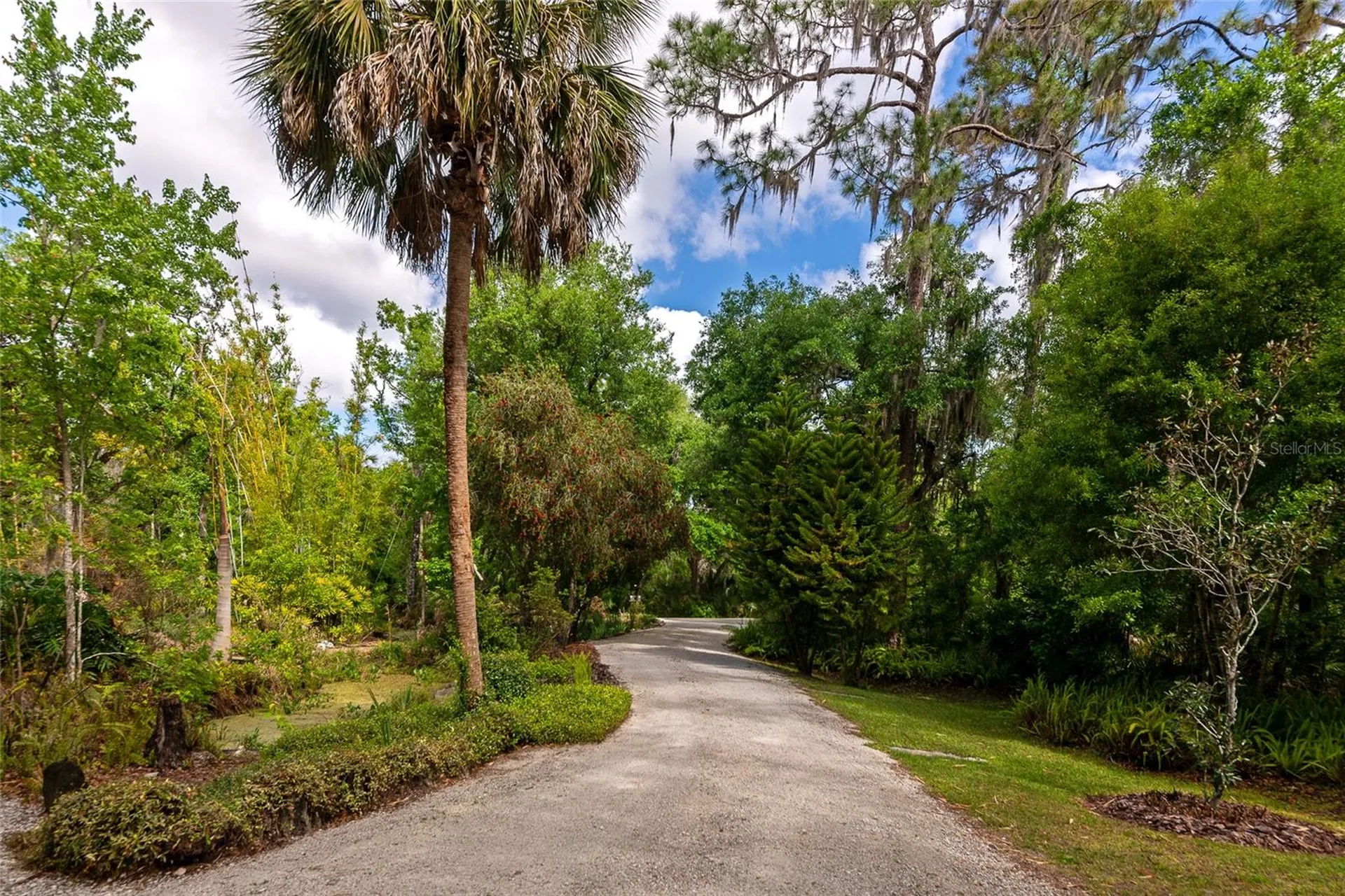 3110 Turkey Walk Lane Wimauma FL 33598