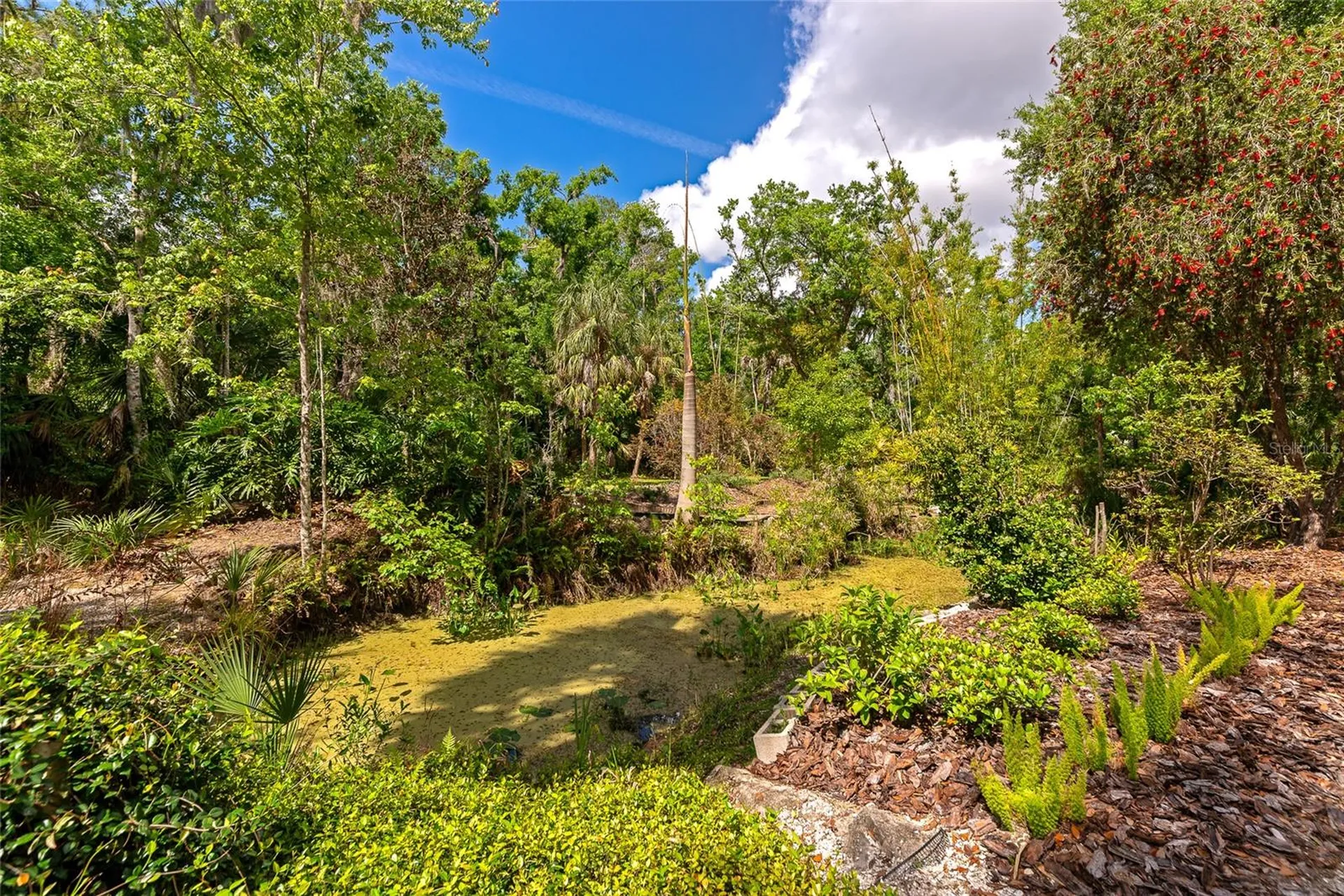 3110 Turkey Walk Lane Wimauma FL 33598