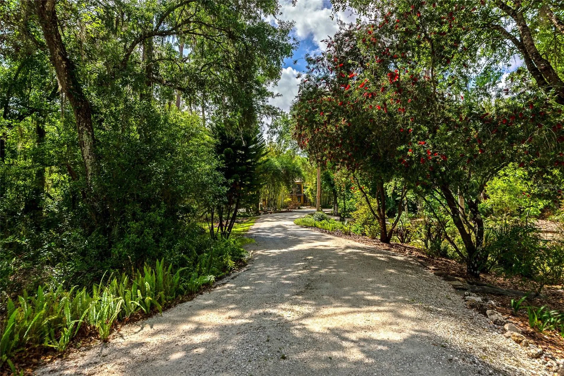 3110 Turkey Walk Lane Wimauma FL 33598