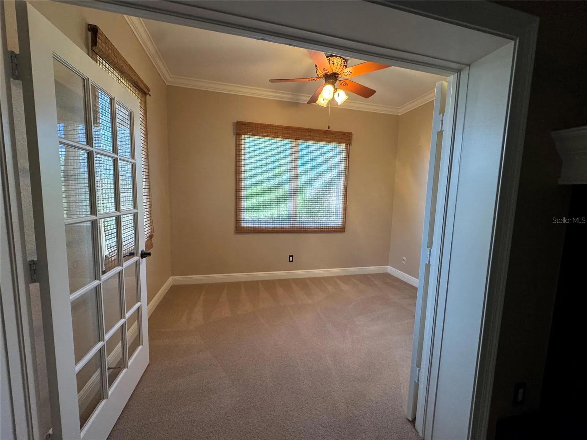 644 Saxony Boulevard St Petersburg FL 33716