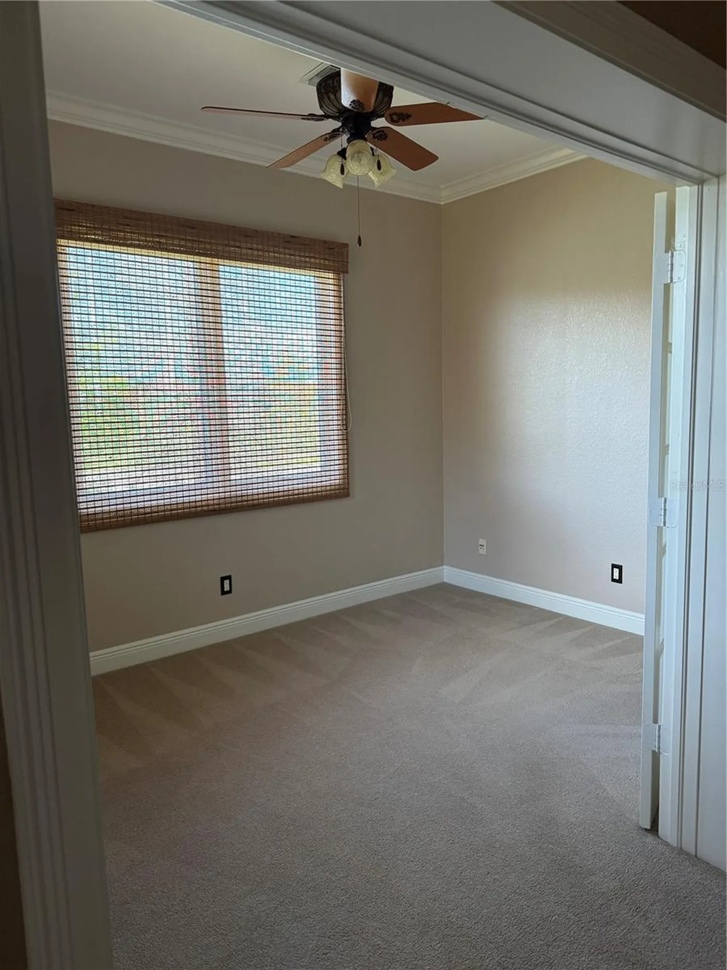 644 Saxony Boulevard St Petersburg FL 33716