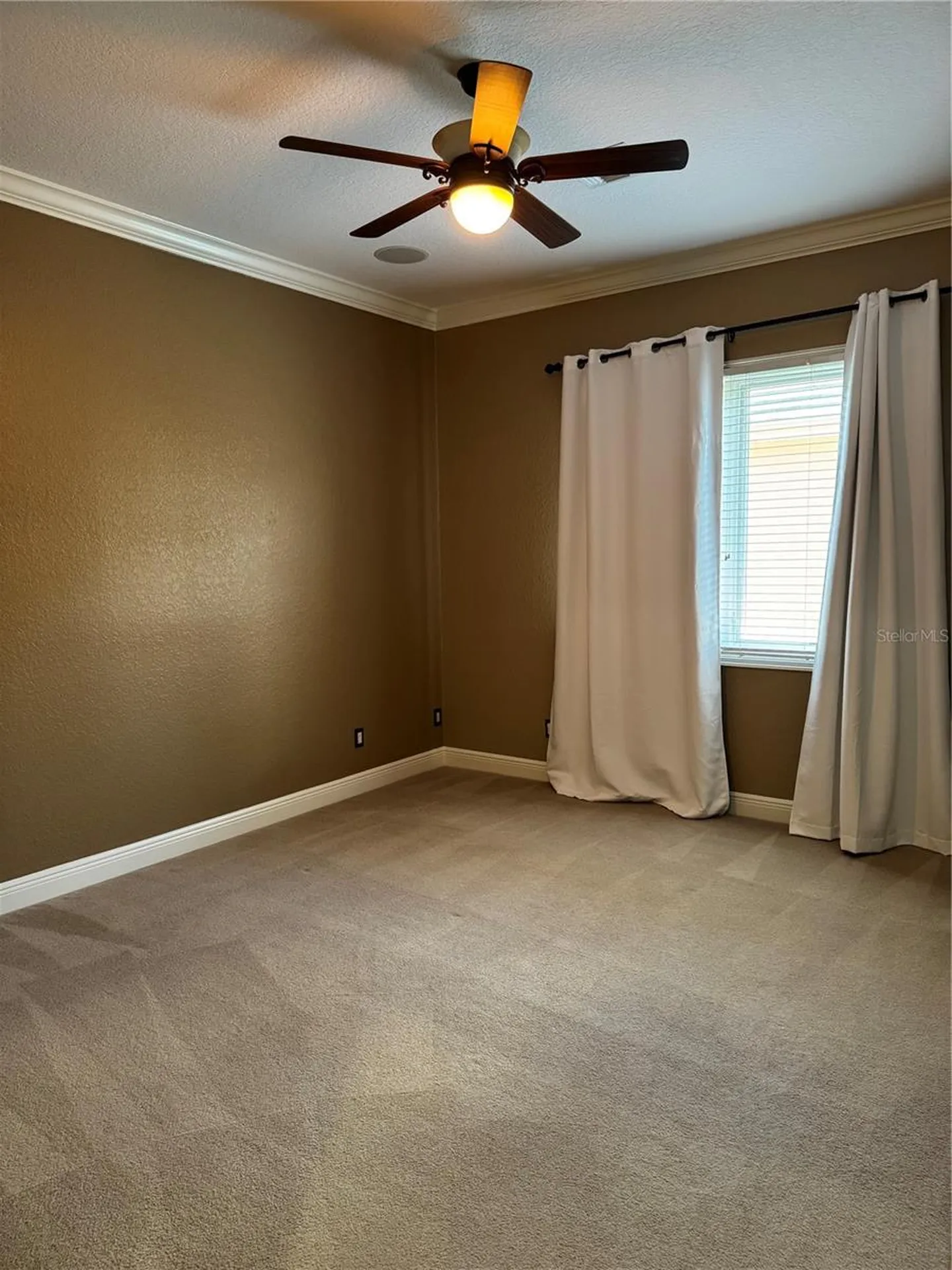 644 Saxony Boulevard St Petersburg FL 33716