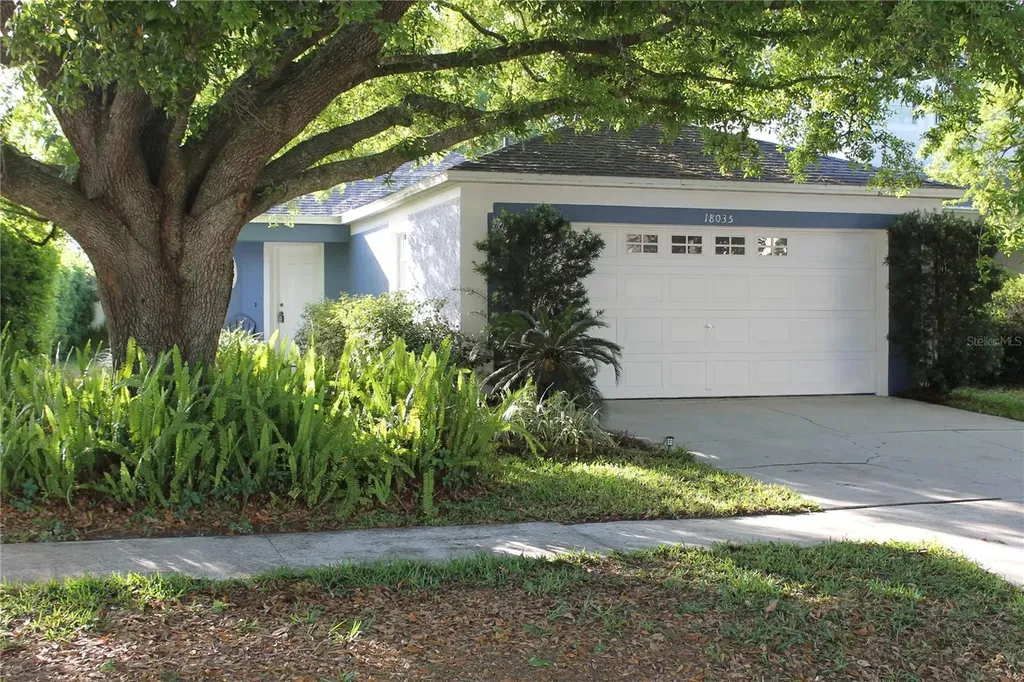 18035 Birdwater Drive Tampa FL 33647