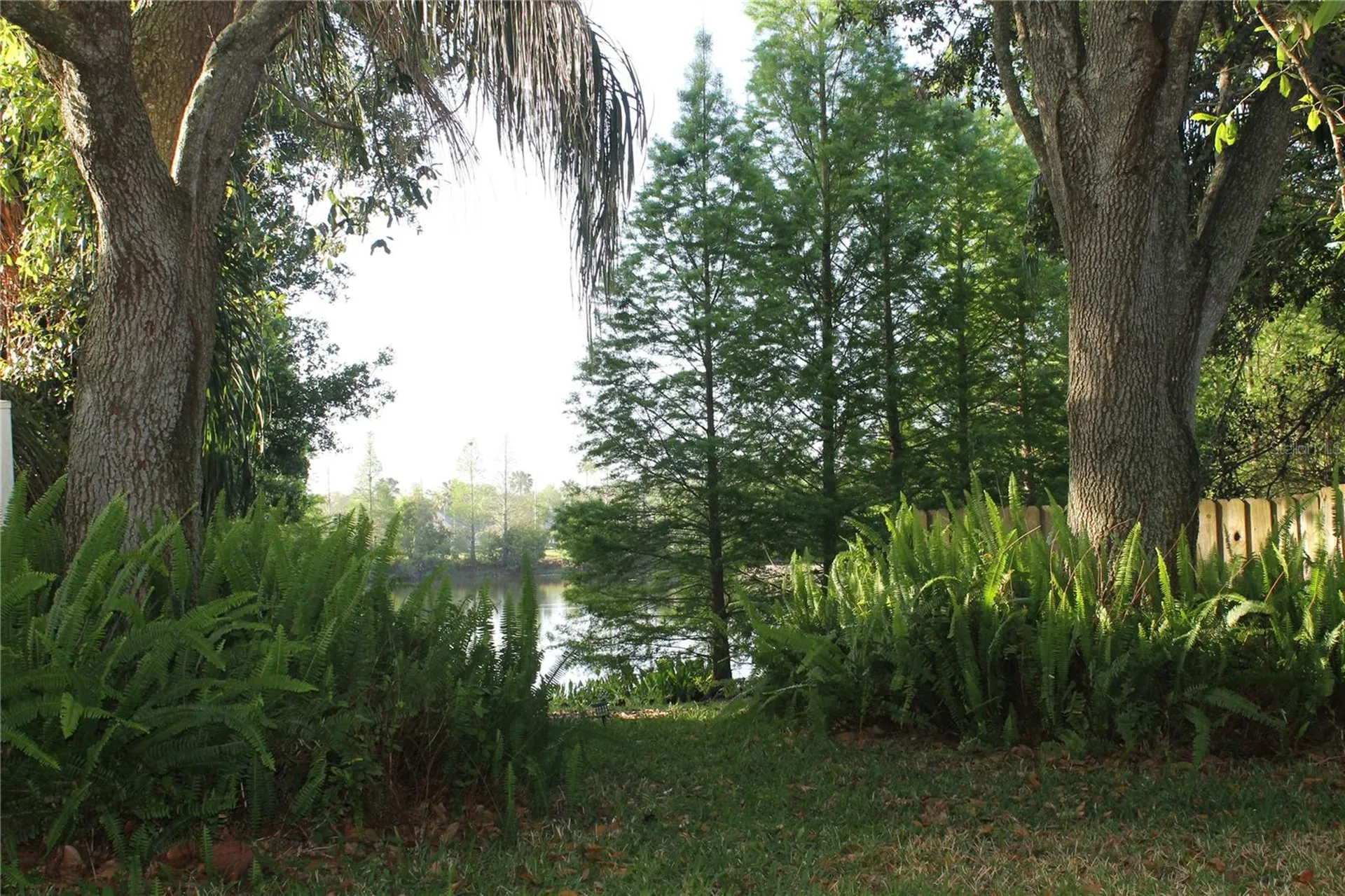 18035 Birdwater Drive Tampa FL 33647