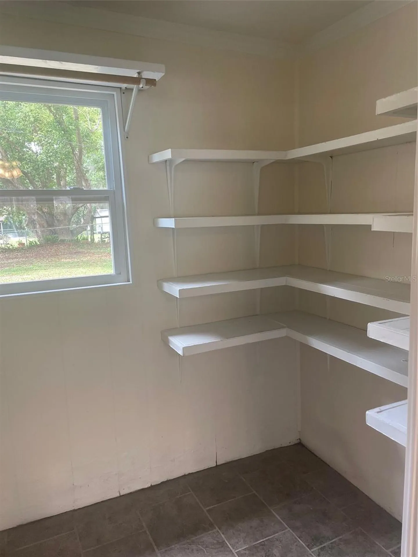 204 Callitris Avenue Polk City FL 33868