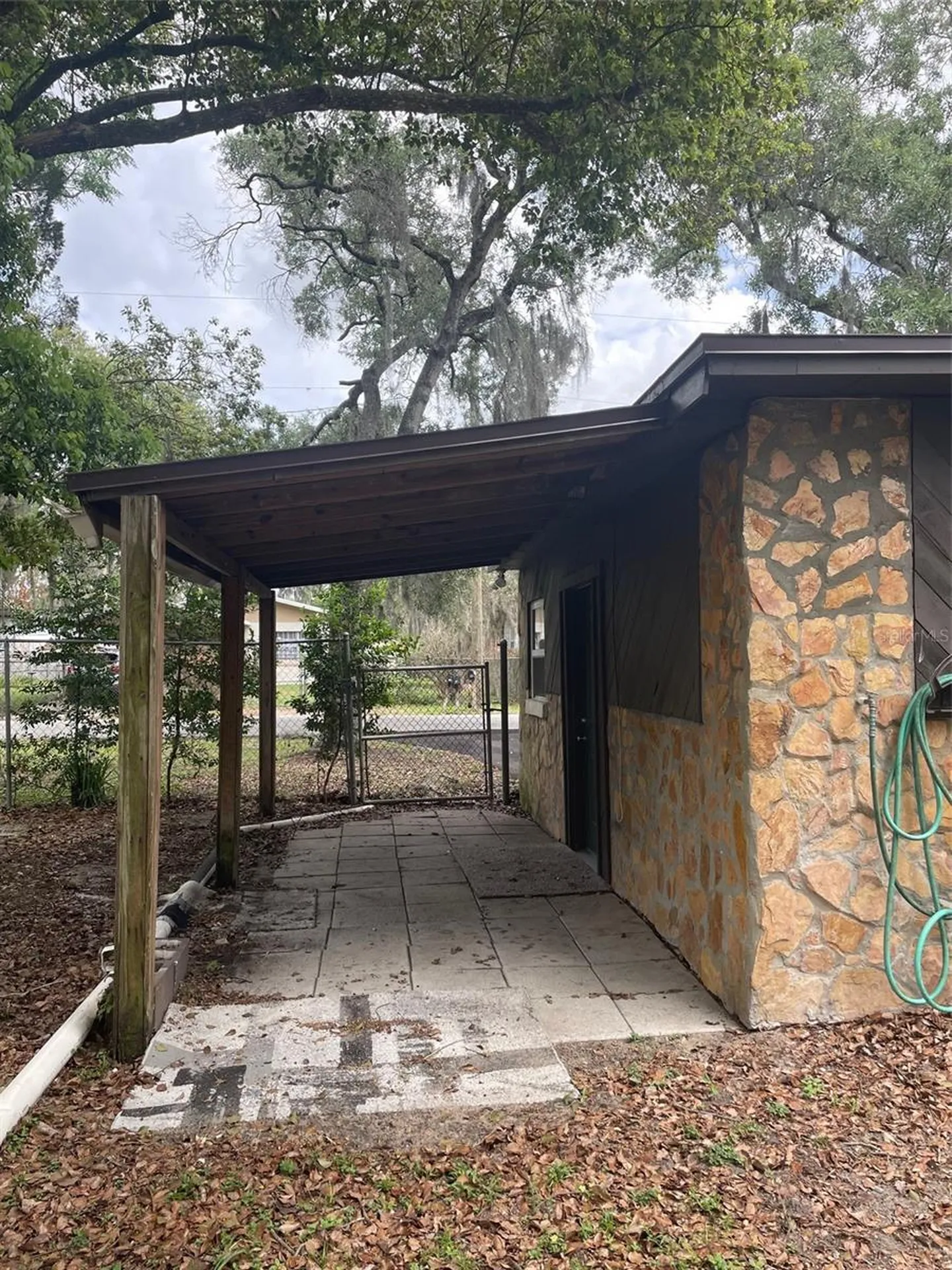 204 Callitris Avenue Polk City FL 33868