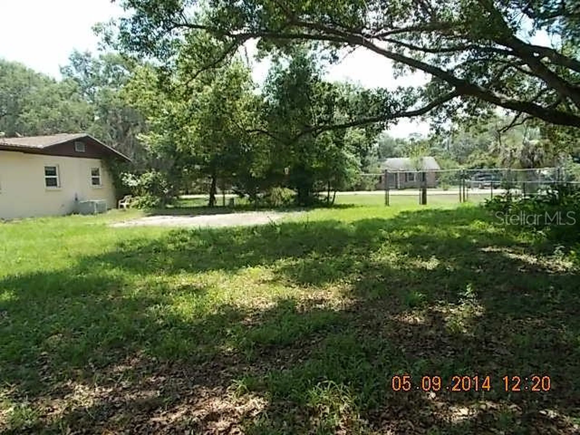 204 Callitris Avenue Polk City FL 33868