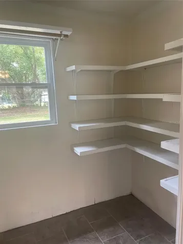 204 Callitris Avenue Polk City FL 33868