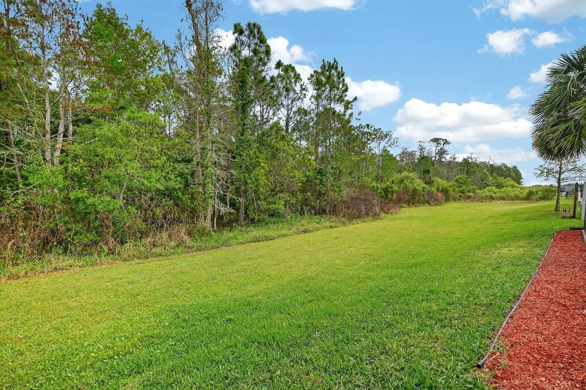 3355 Bellino Boulevard New Smyrna Beach FL 32168