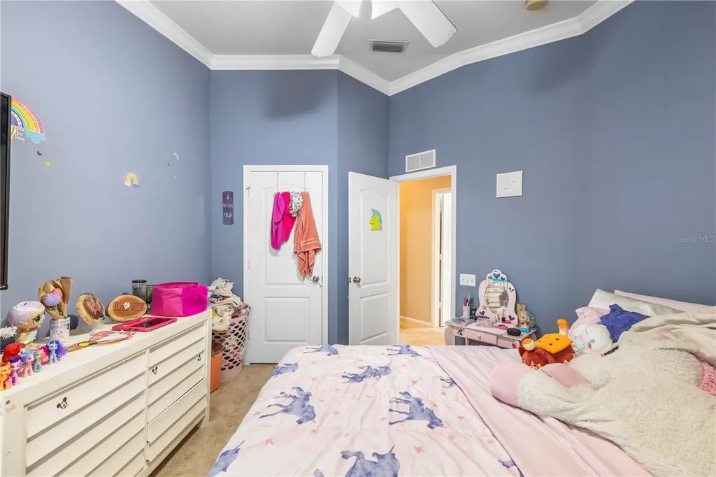 26645 Castleview Way Wesley Chapel FL 33544