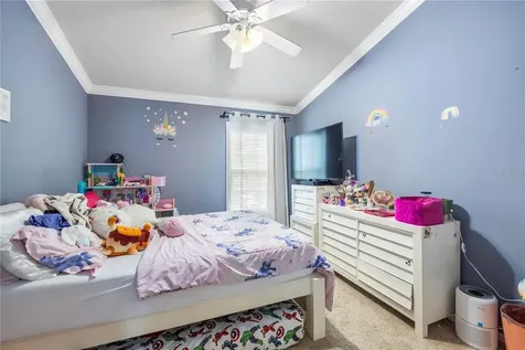 26645 Castleview Way Wesley Chapel FL 33544