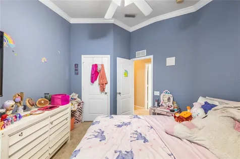26645 Castleview Way Wesley Chapel FL 33544