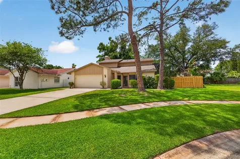 15710 Pinto Place Tampa FL 33624