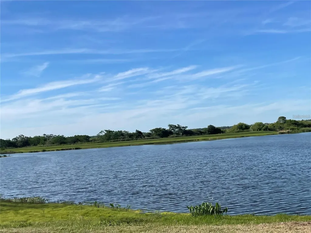 15221 Sunrise Grove Court Winter Garden FL 34787