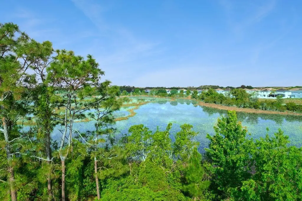 3880 Fescue Street Clermont FL 34714