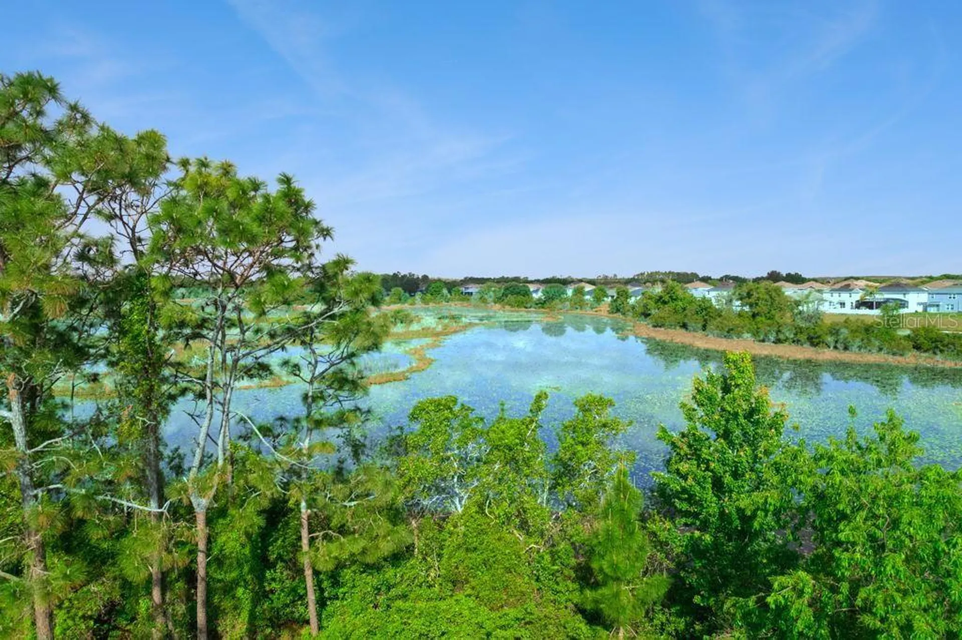 3880 Fescue Street Clermont FL 34714