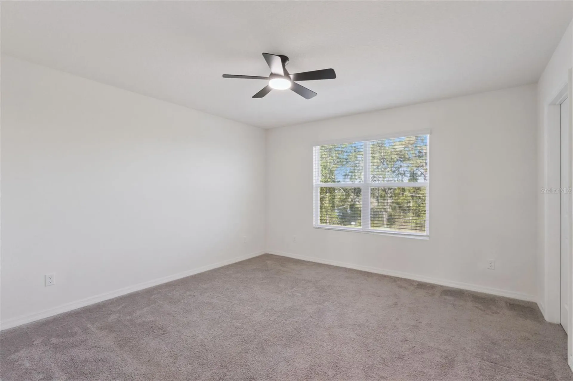 3880 Fescue Street Clermont FL 34714