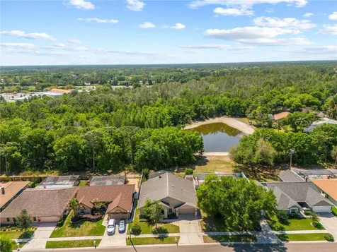 9503 Pebble Glen Avenue Tampa FL 33647