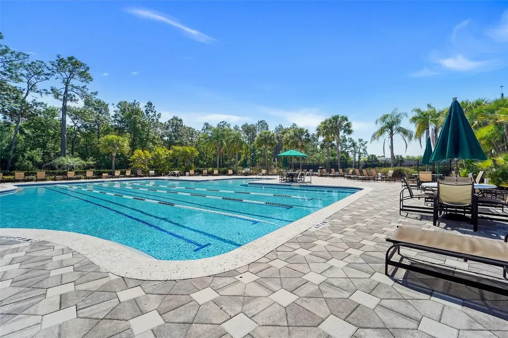 20420 Autumn Fern Avenue Tampa FL 33647