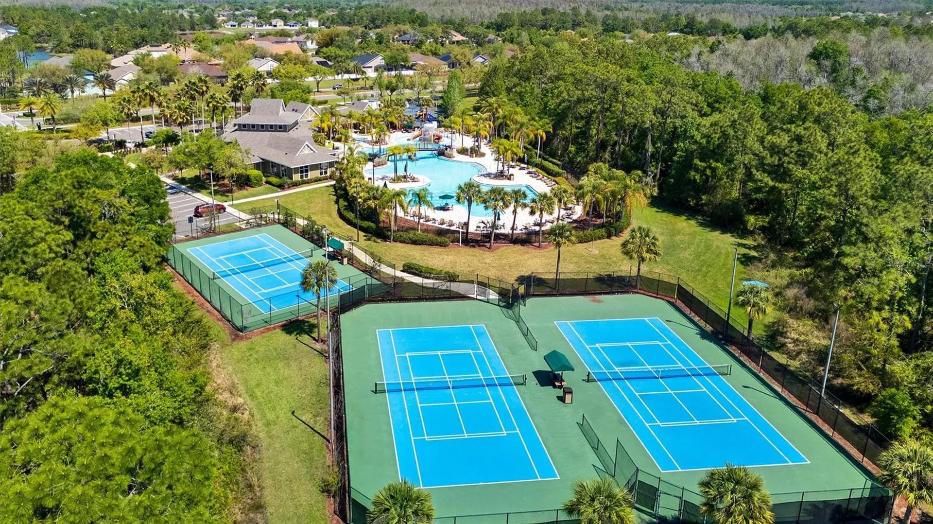 20420 Autumn Fern Avenue Tampa FL 33647