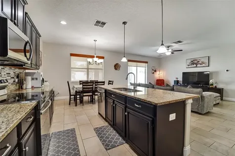 20420 Autumn Fern Avenue Tampa FL 33647