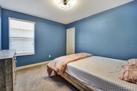 20420 Autumn Fern Avenue Tampa FL 33647