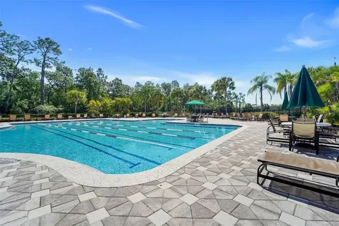 20420 Autumn Fern Avenue Tampa FL 33647