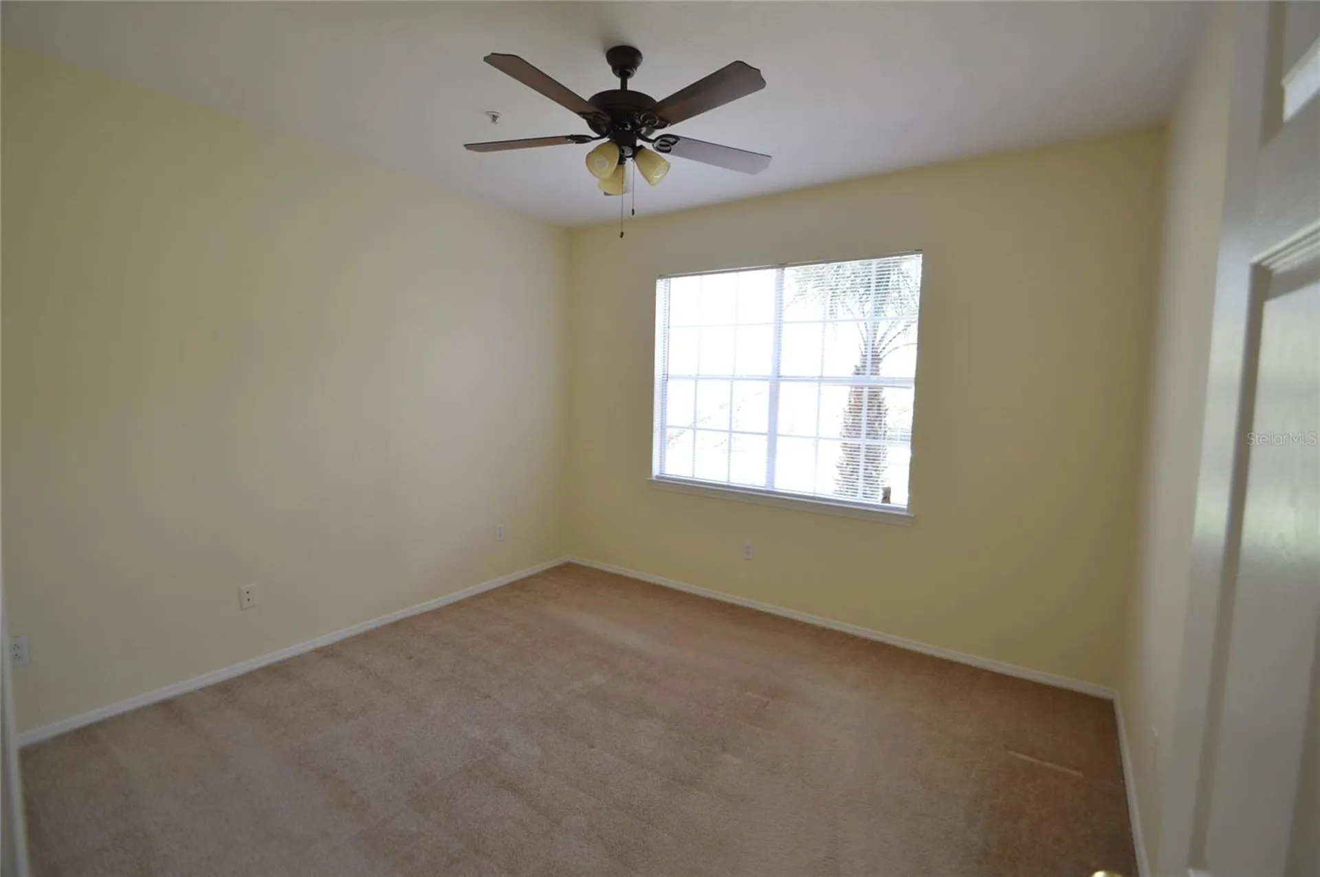13113 Sanctuary Cove Drive Temple Terrace FL 33637