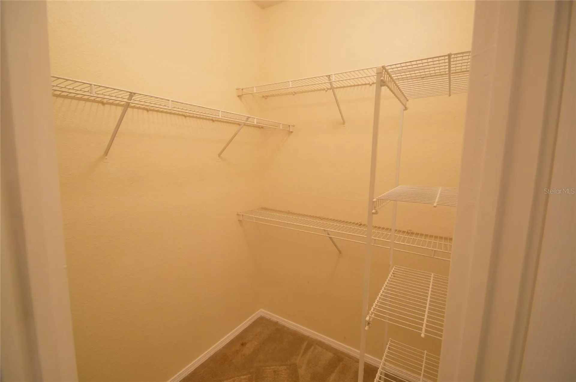13113 Sanctuary Cove Drive Temple Terrace FL 33637