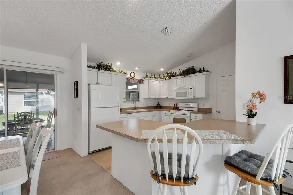 883 Aiken Avenue The Villages FL 32162