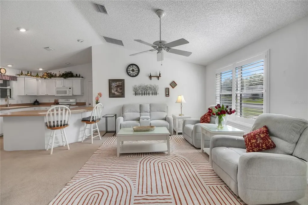 883 Aiken Avenue The Villages FL 32162