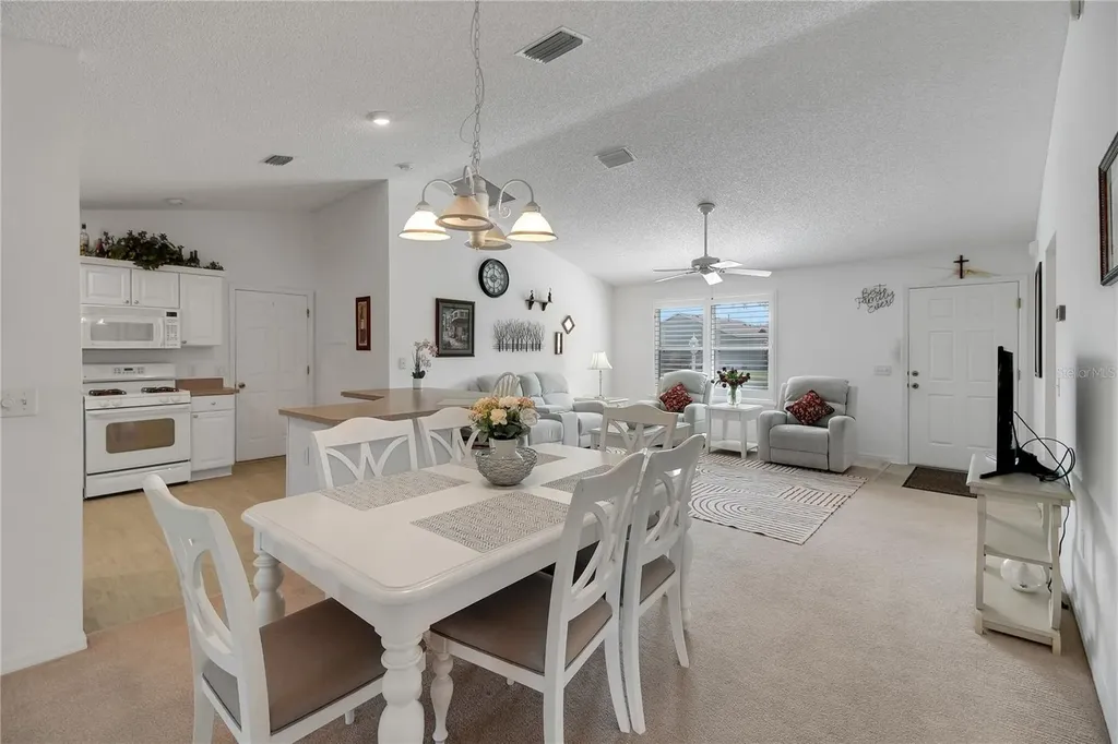 883 Aiken Avenue The Villages FL 32162