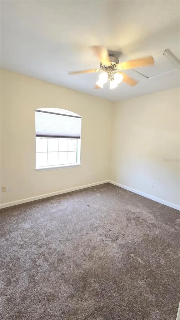4307 Britt Road Mount Dora FL 32757