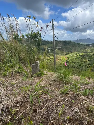 Bo. Indiera Baja Maricao PR 00606