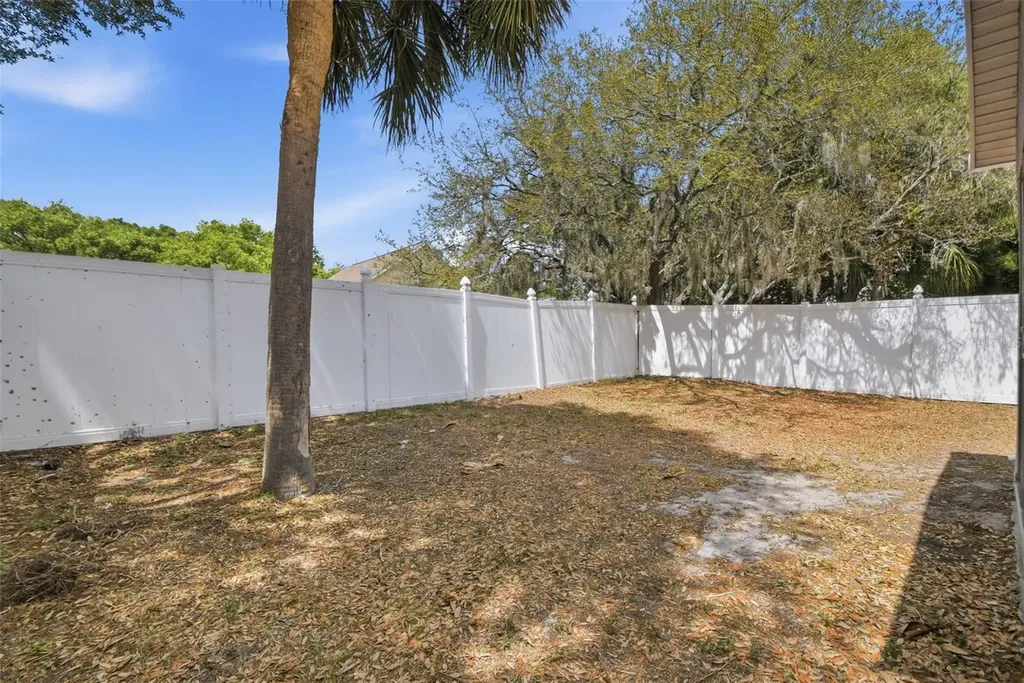 11347 Cocoa Beach Drive Riverview FL 33569