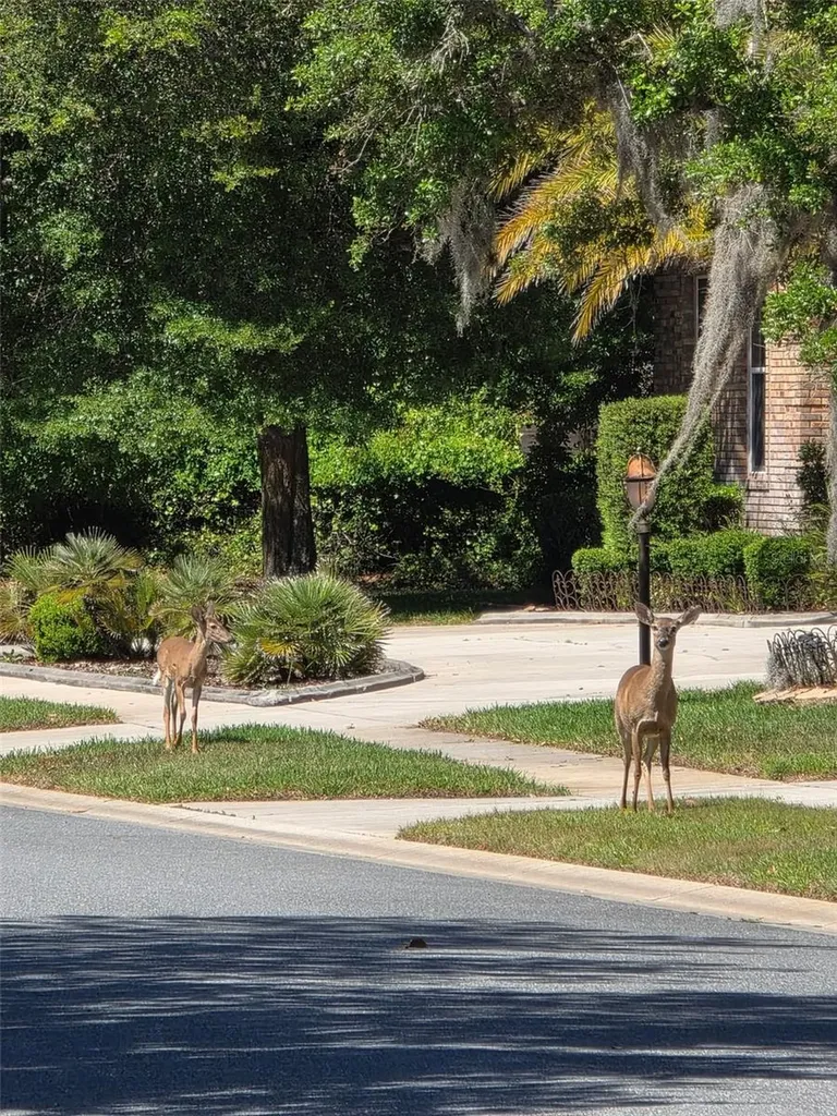 6151 New Osprey Point Weeki Wachee FL 34607