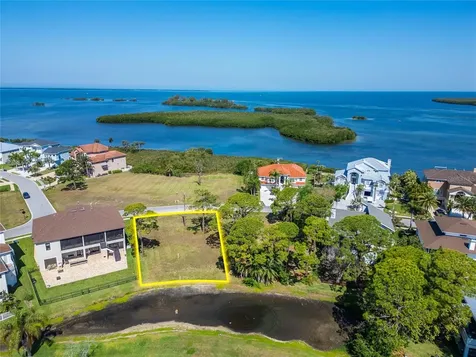 N Pointe Alexis Drive Tarpon Springs FL 34689
