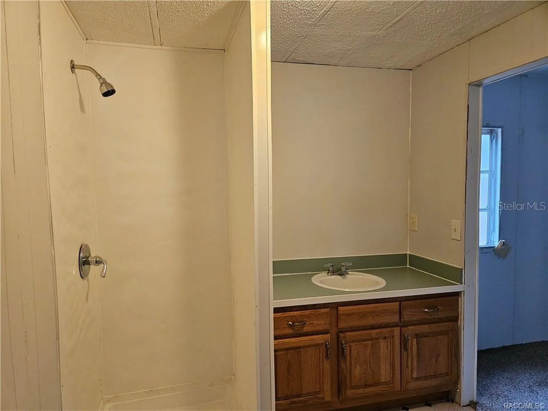 89 S Scarboro Avenue Lecanto FL 34461