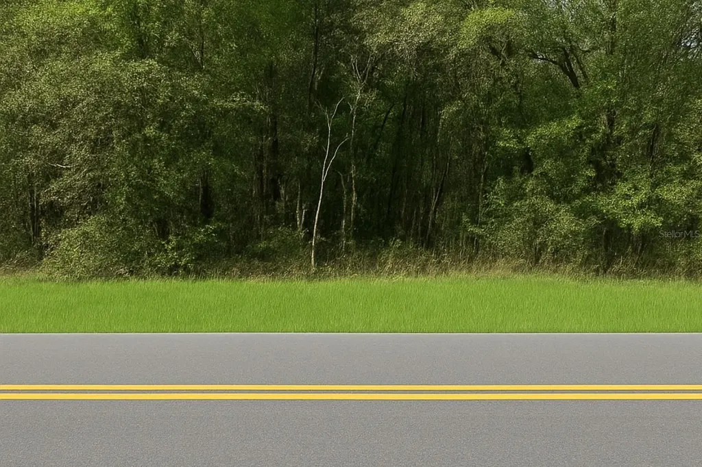 0 Rainbow Lakes Boulevard Dunnellon FL 34431
