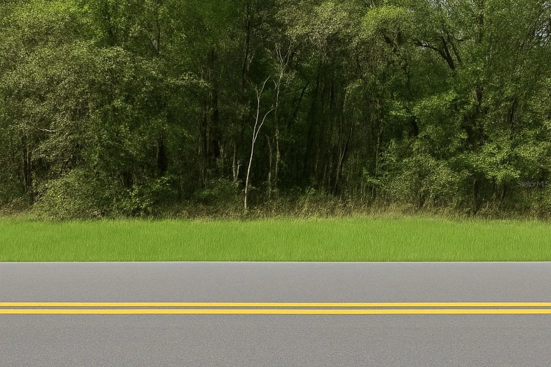 0 Rainbow Lakes Boulevard Dunnellon FL 34431