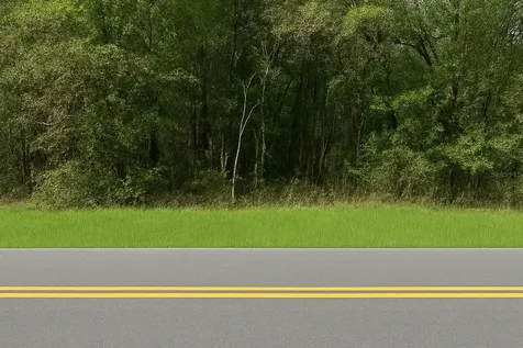 0 Rainbow Lakes Boulevard Dunnellon FL 34431