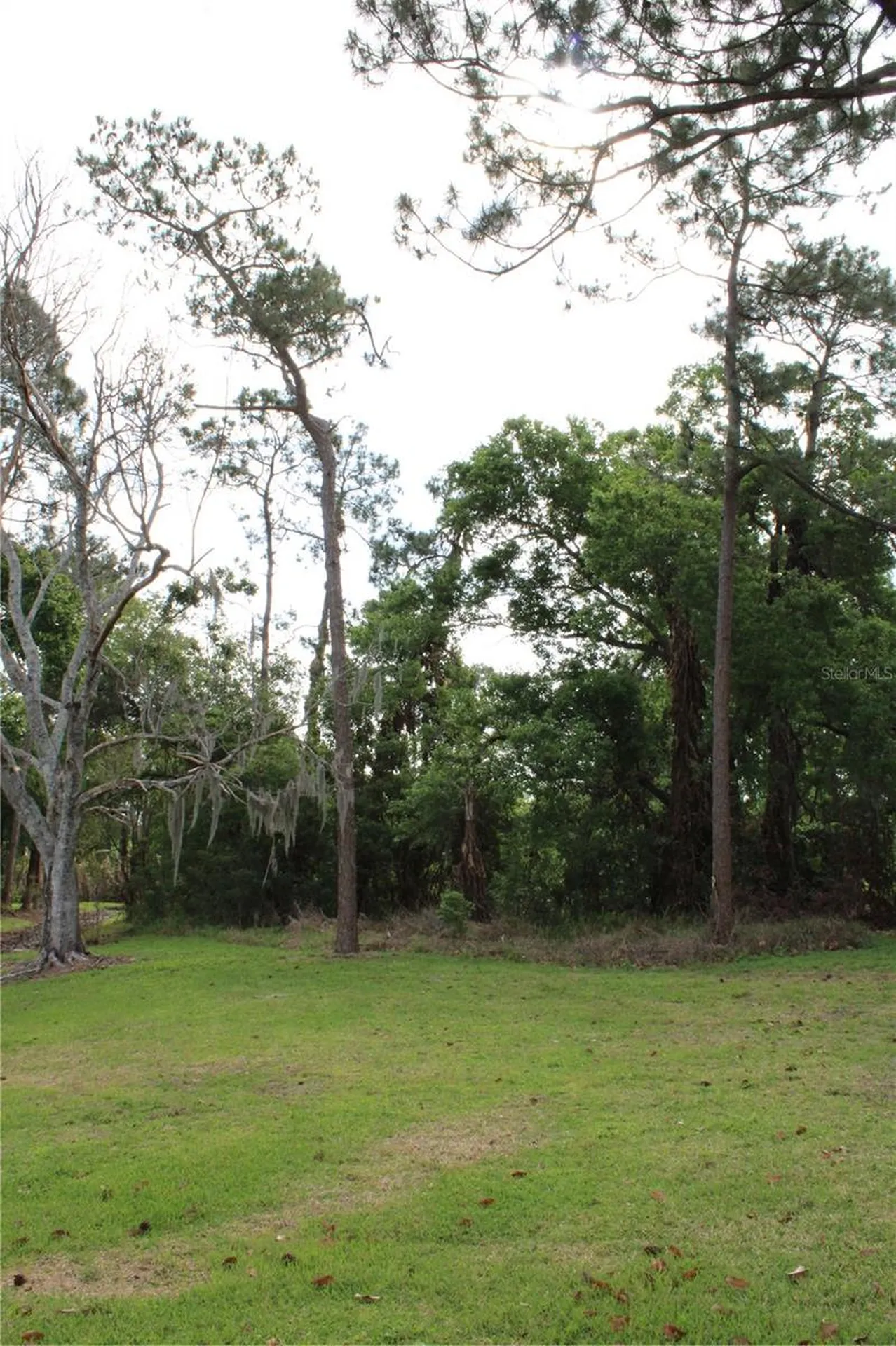 0 Chinaberry Drive Winter Haven FL 33881