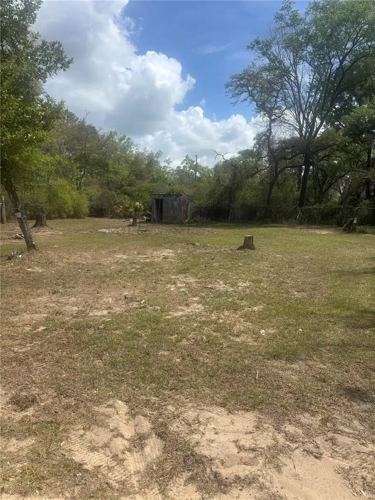 9465 SE 195th Avenue Ocklawaha FL 32179