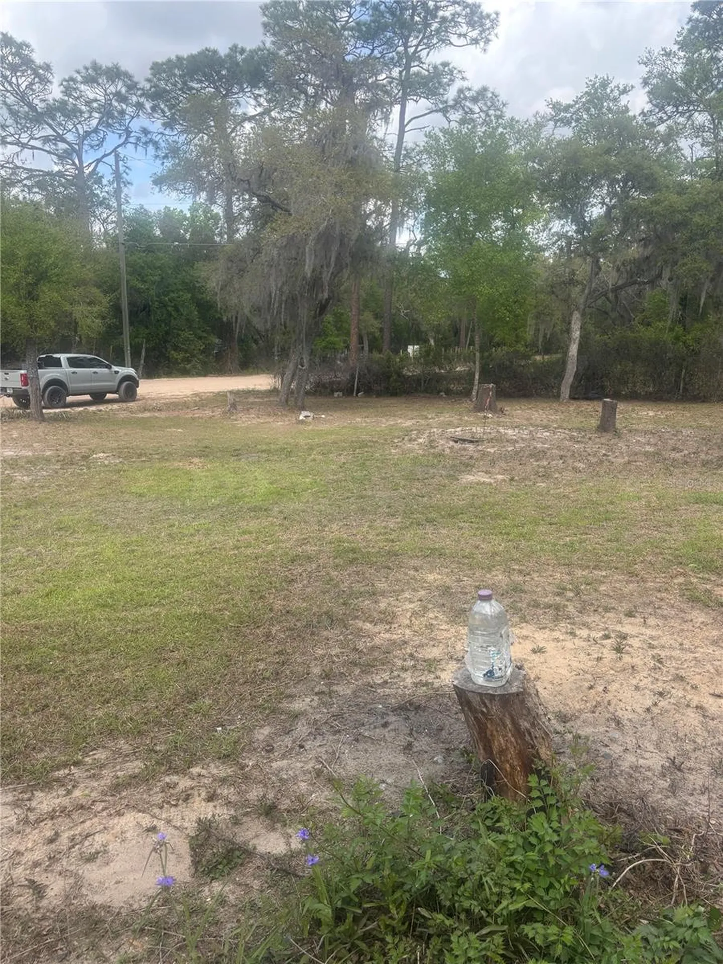 9465 SE 195th Avenue Ocklawaha FL 32179