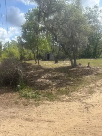 9465 SE 195th Avenue Ocklawaha FL 32179