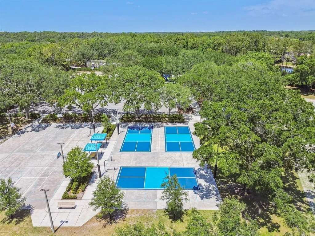 3025 Naughton Way Tarpon Springs FL 34688