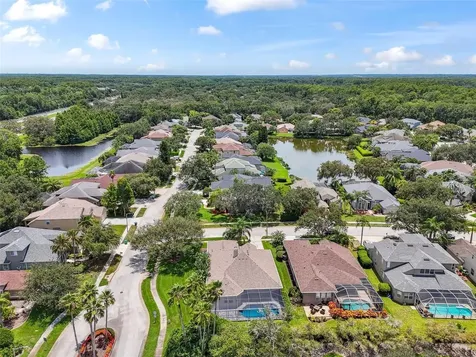 3025 Naughton Way Tarpon Springs FL 34688