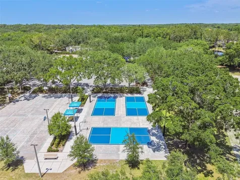 3025 Naughton Way Tarpon Springs FL 34688