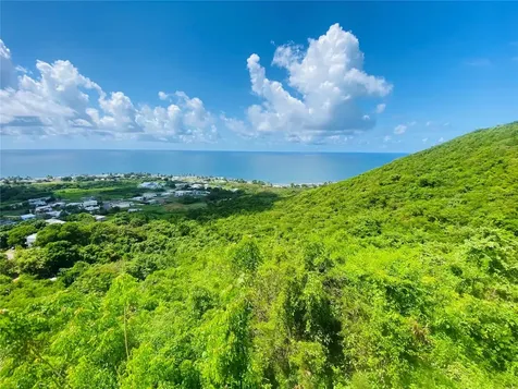 Farm Amazing Ocean View Patillas PR 00723